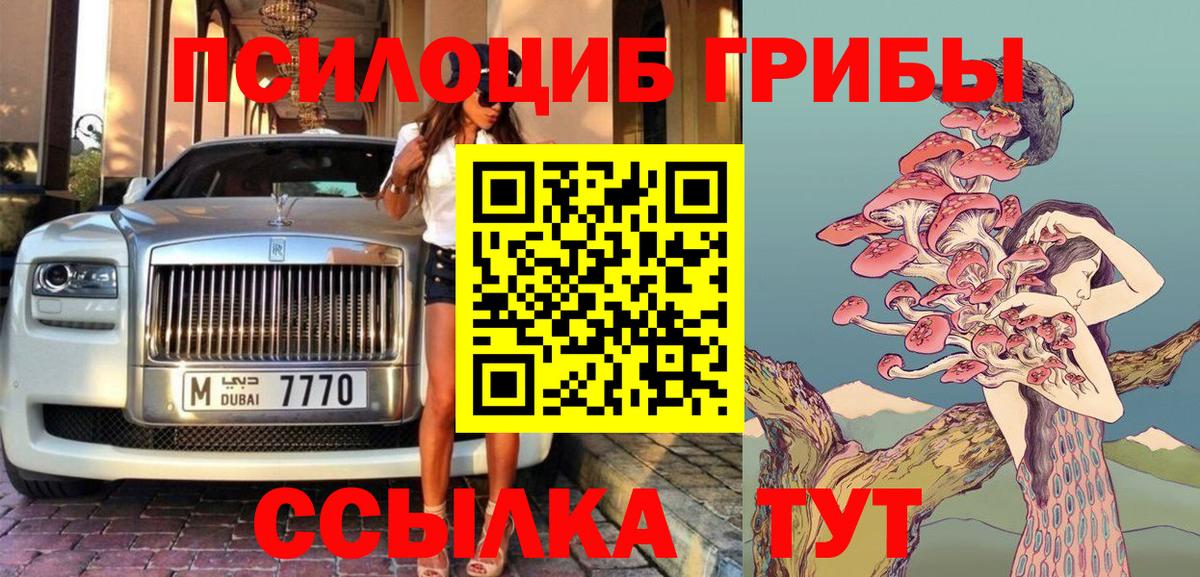 Псилоцибиновые грибы Cubensis Саранск