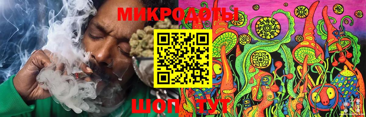 Галлюциногенные грибы Psilocybine cubensis  Псилоцибиновые грибы прущие грибы  Саранск  Вход с VPN 